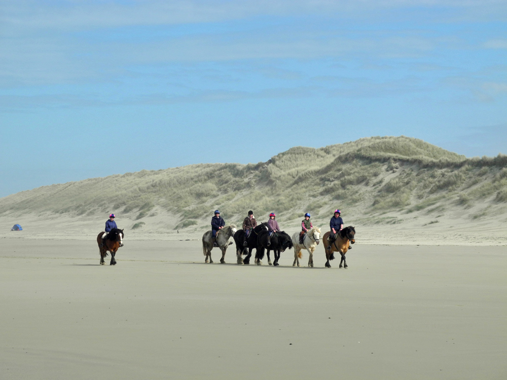 Picture of horse with riders on a beach in front of dunes