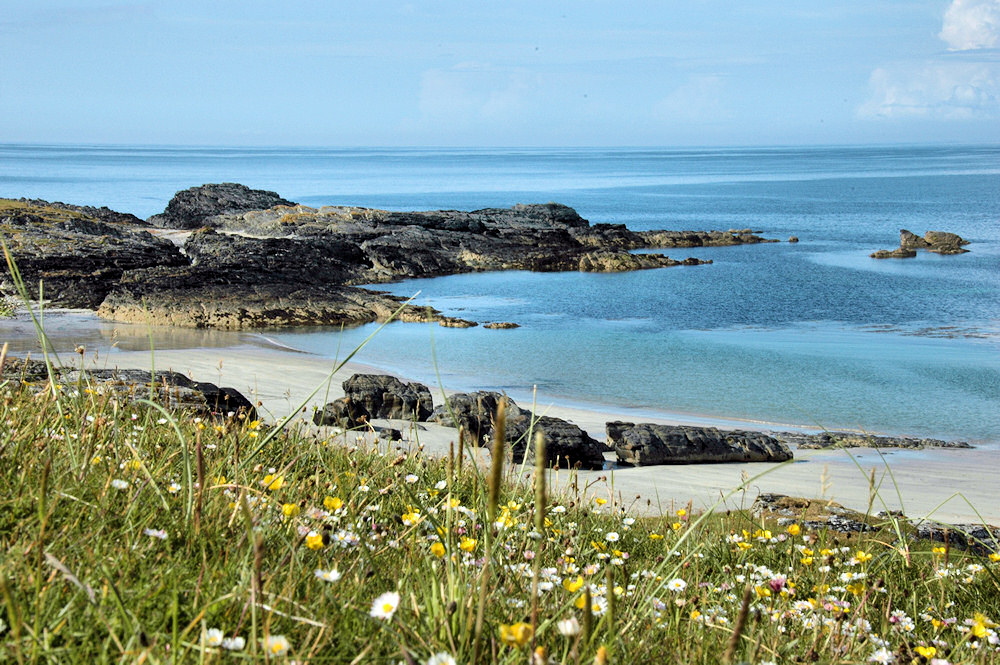 Picture of a colourful machair above a bay with a beach and rocks