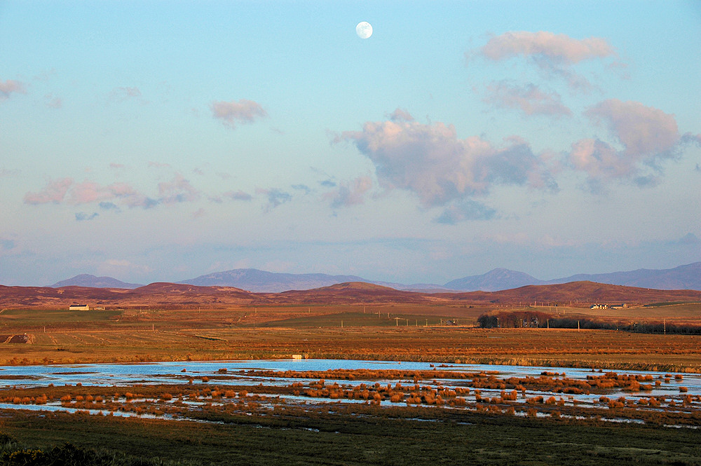 Picture of a floodplain with the Moon high above