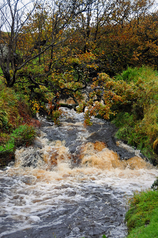 Picture of a small river in full spate