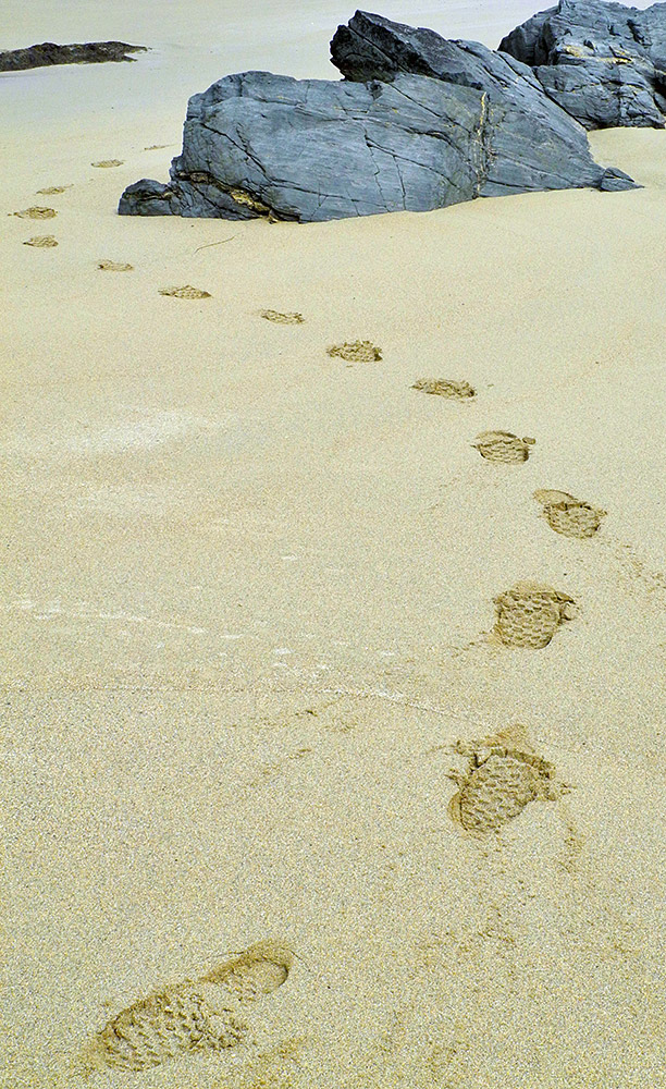 Picture of footprints in soft sand on a beach