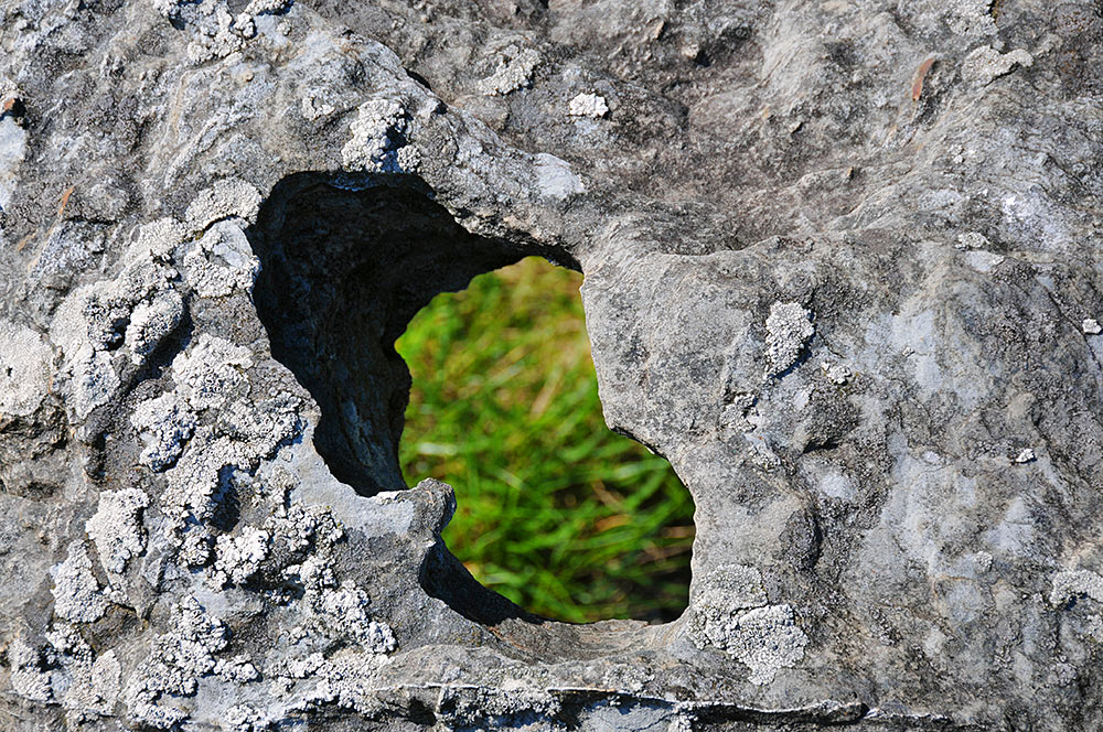 Picture of a small hole in a rock