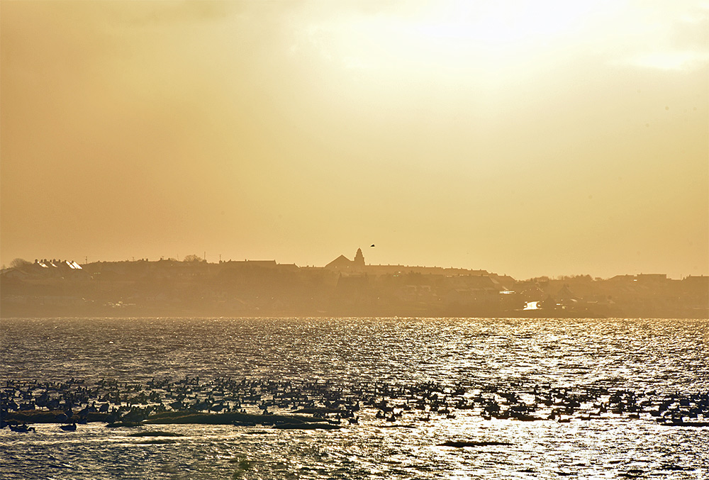 Picture of a coastal village in some hazy November sunshine, seen across a sea loch