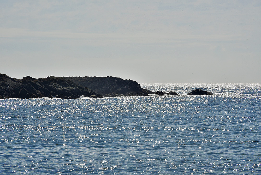 Picture of some low cliffs surrounded by water sparkling in the sun