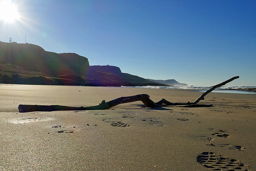 Picture of some driftwood on a golden sandy beach on a sunny November day