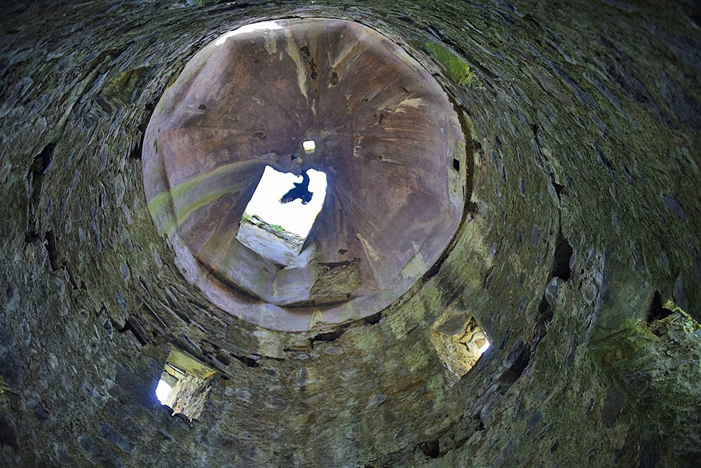 Picture of a view up the inside of an old stone tower, just as a bird is flying over