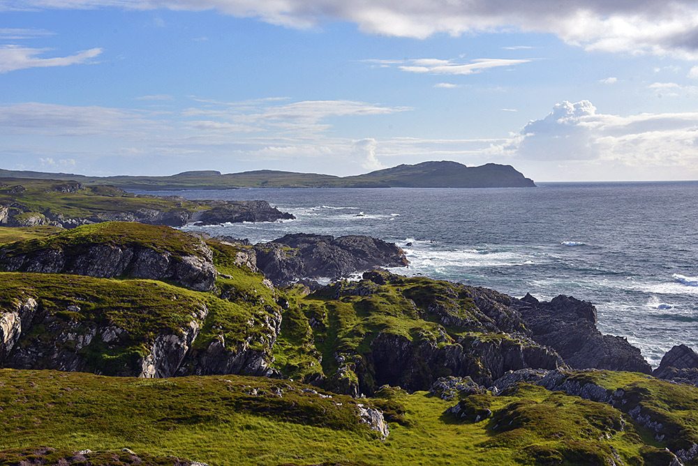 Picture of a coast with low cliffs, covered in heather and other low vegetation