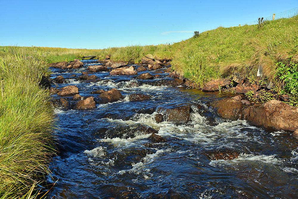 Picture of a small river flowing over rocks, grassy banks on the side
