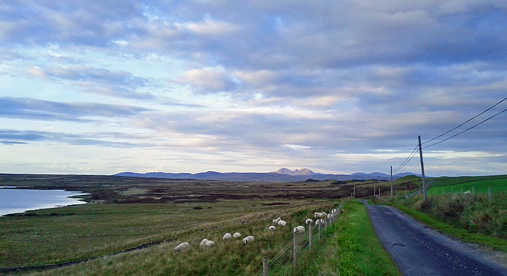 Picture of a road through a rural landscape with sheep next to it, mountains in the distance
