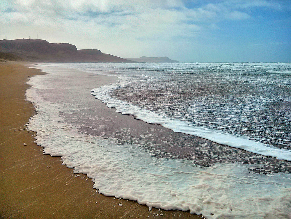 Picture of algae foam washing up a beach as waves roll in on a blustery day