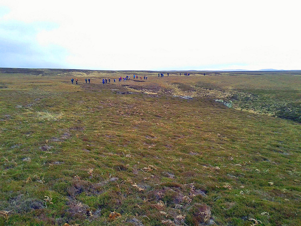 Picture of a group of walkers in a wide open largely featureless area