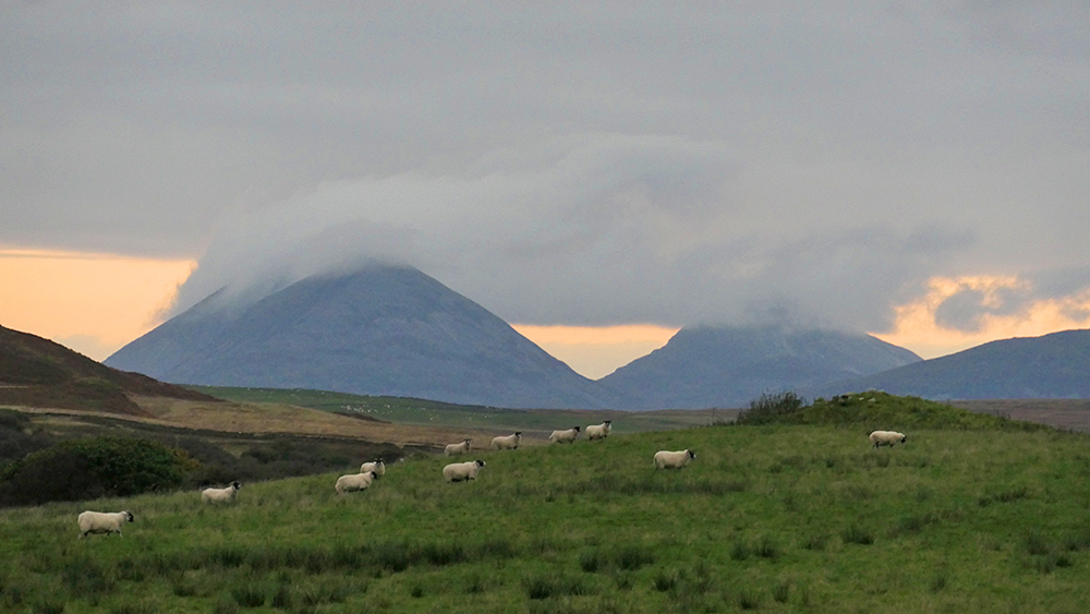Picture of three mountains with clouds over their summits with some grazing sheep in the foreground