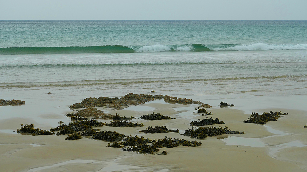 Picture of a beach with some rocks and seaweed in the sand, a small wave breaking off the beach