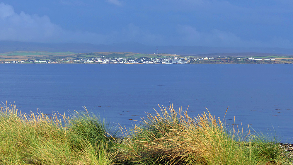 Picture of a coastal village seen across a sea loch from a grassy shore