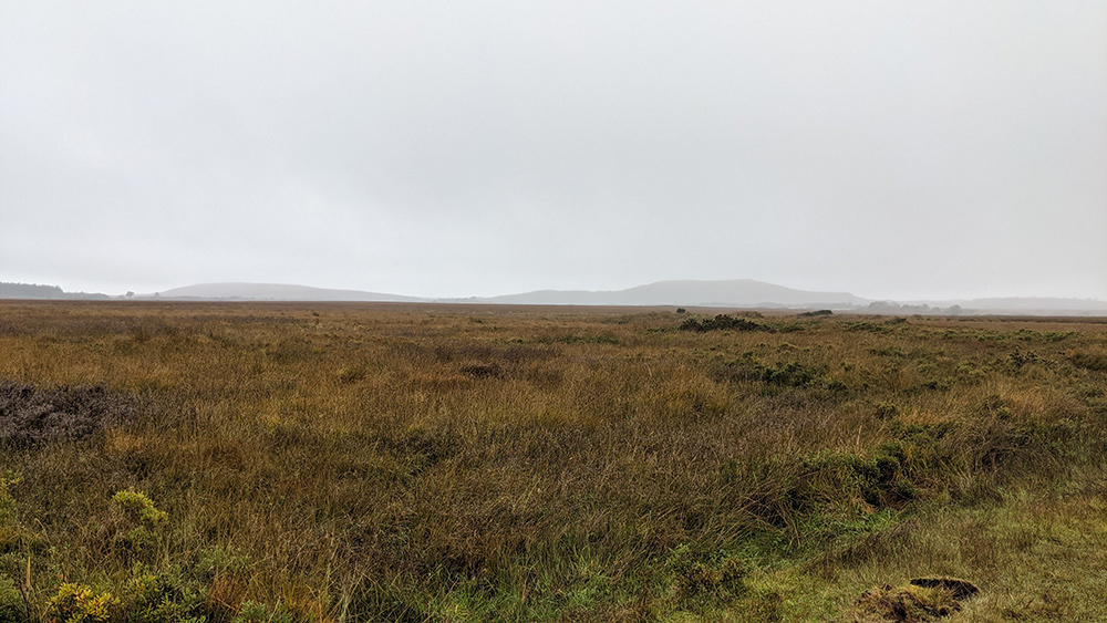 Picture of a bleak rural landscape, flat bog and fields with some low hills in the distance, on a rainy day