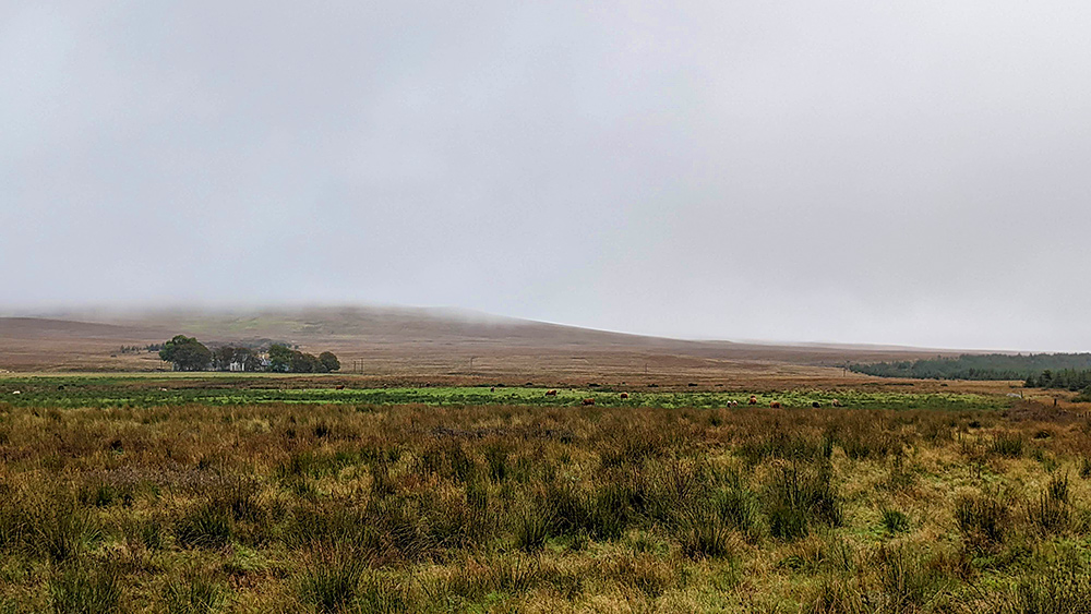 Picture of a farm under trees in a wide landscape, low clouds above