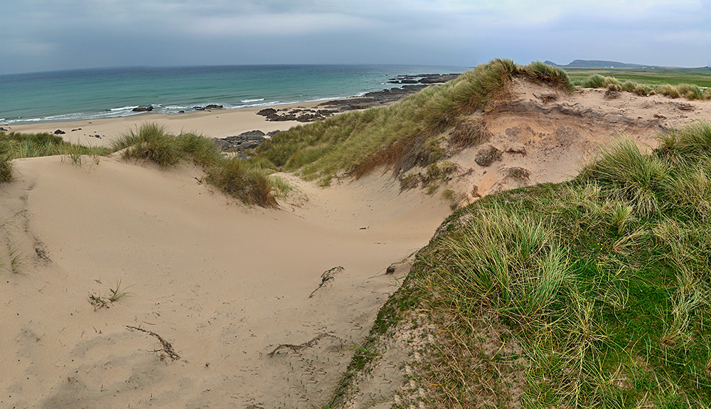 Panoramic picture of the top of a dune