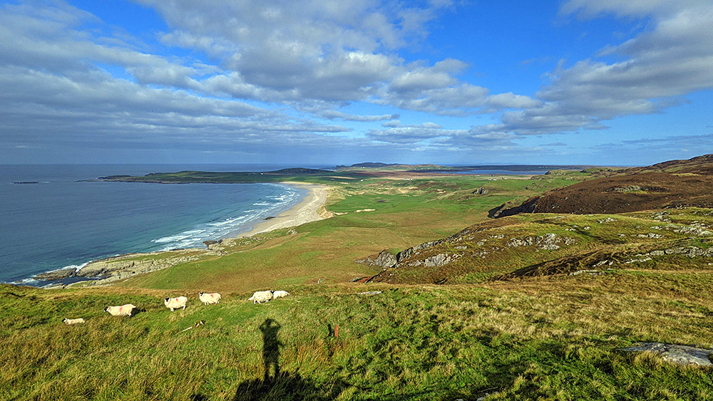 Picture of a view over a bay with a sandy beach from the top of a hill