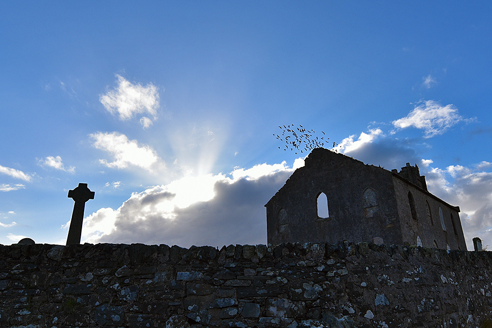 Picture of the ruin of a church and Celtic cross, birds flying off from the church