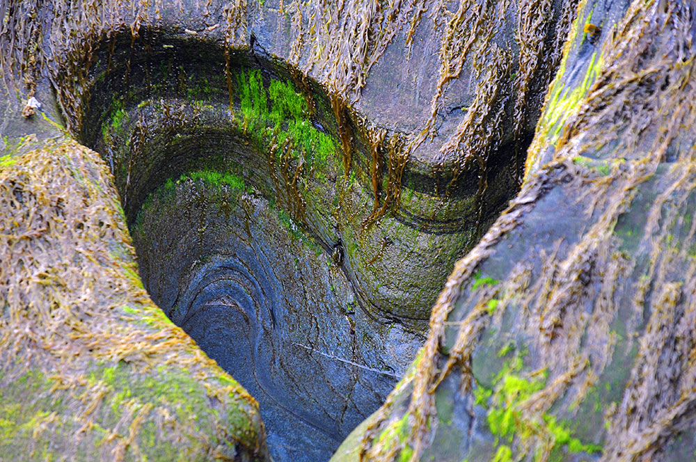 Picture of a smooth hollowed out rock with algae