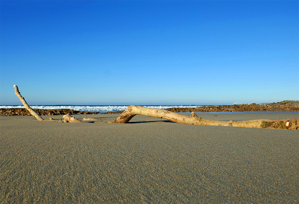 Picture of a large piece of driftwood partially buried in the some smooth sand on a beach