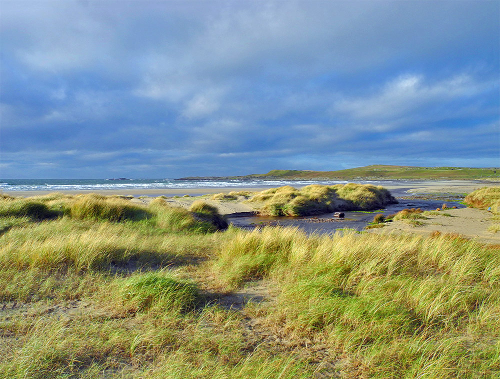 Picture of a coastal landscape with dunes and beach at a bay in the November sunshine