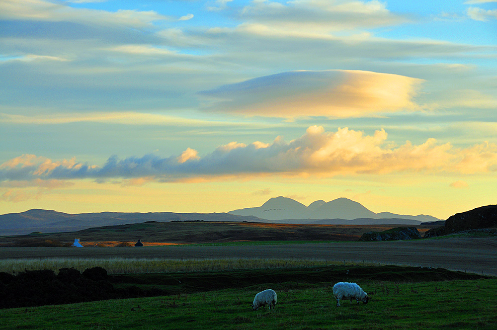 Picture of sheep grazing in some mild morning light under a variety of clouds, three mountains in the distance