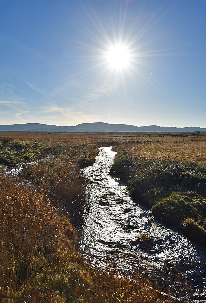 Picture of a bright low November sun over a small river