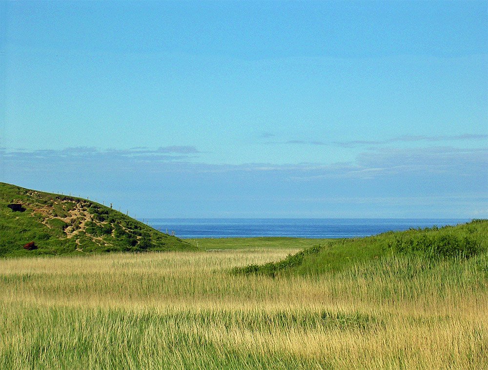 Picture of a view over some reed beds towards a wide bay with the ocean stretching out into the distance