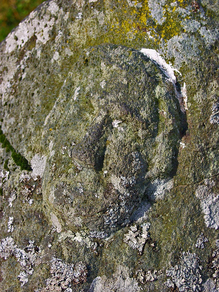 Picture of a face carved into a rock