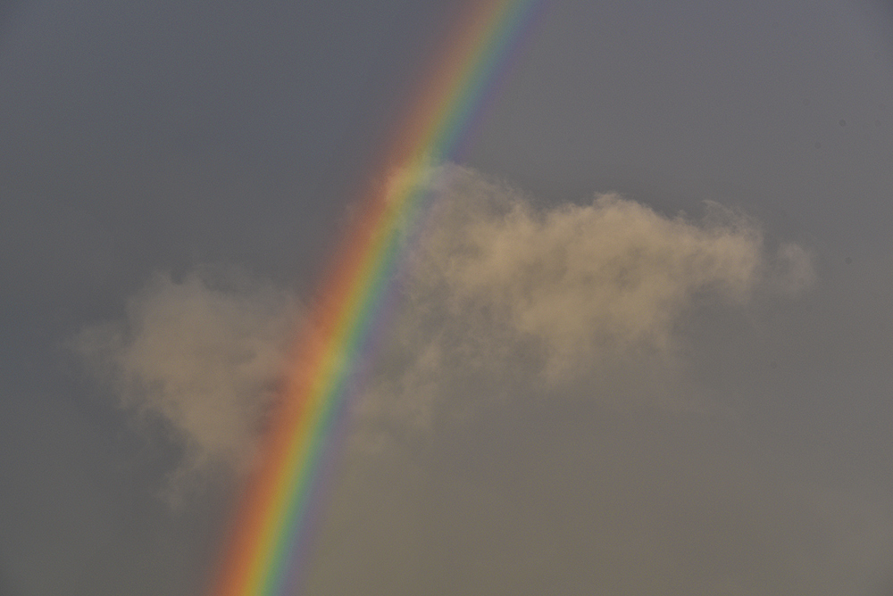 Picture of a colourful rainbow with a white cloud