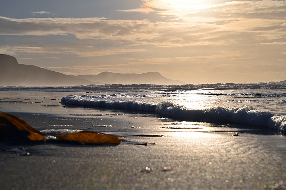 Picture of a view low on a beach, some seaweed on the left, a wave running out on the right with some foam being left