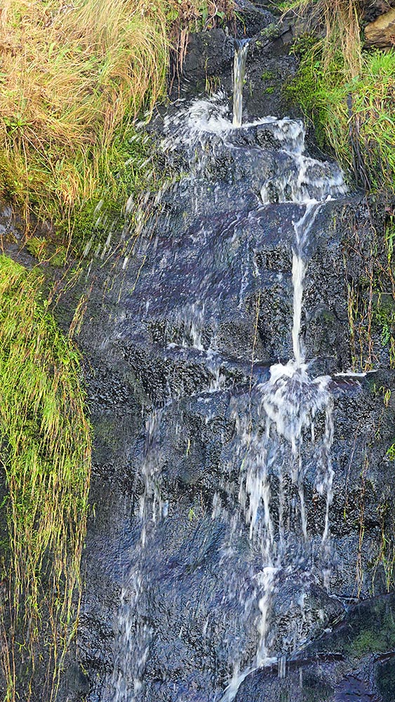 Picture of a small waterfall on a rocky cliff face, grass growing on each side