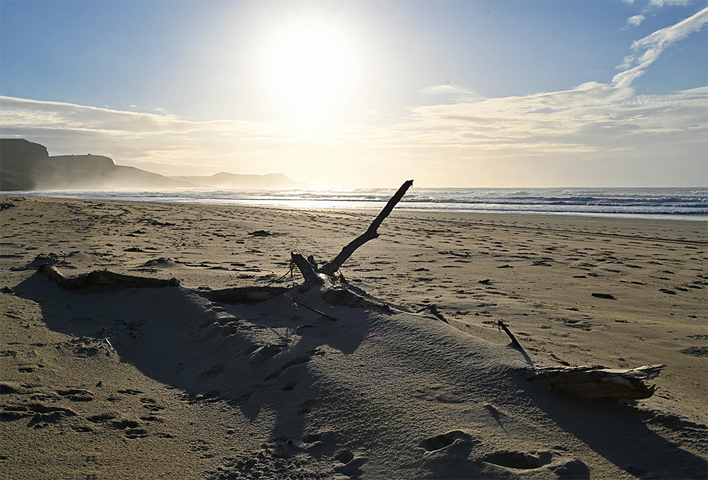 Picture of a large piece of driftwood partially covered in sand on a wide sandy beach on a slightly hazy but sunny November day