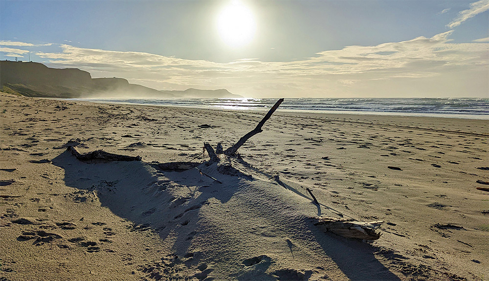 Picture of a large piece of driftwood on a wide sandy beach, partially covered in sand