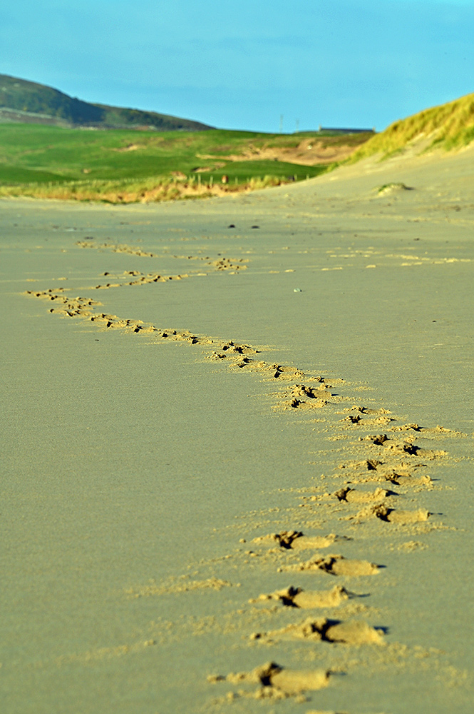 Picture of footprints in the sand of a beach, snaking over a distance