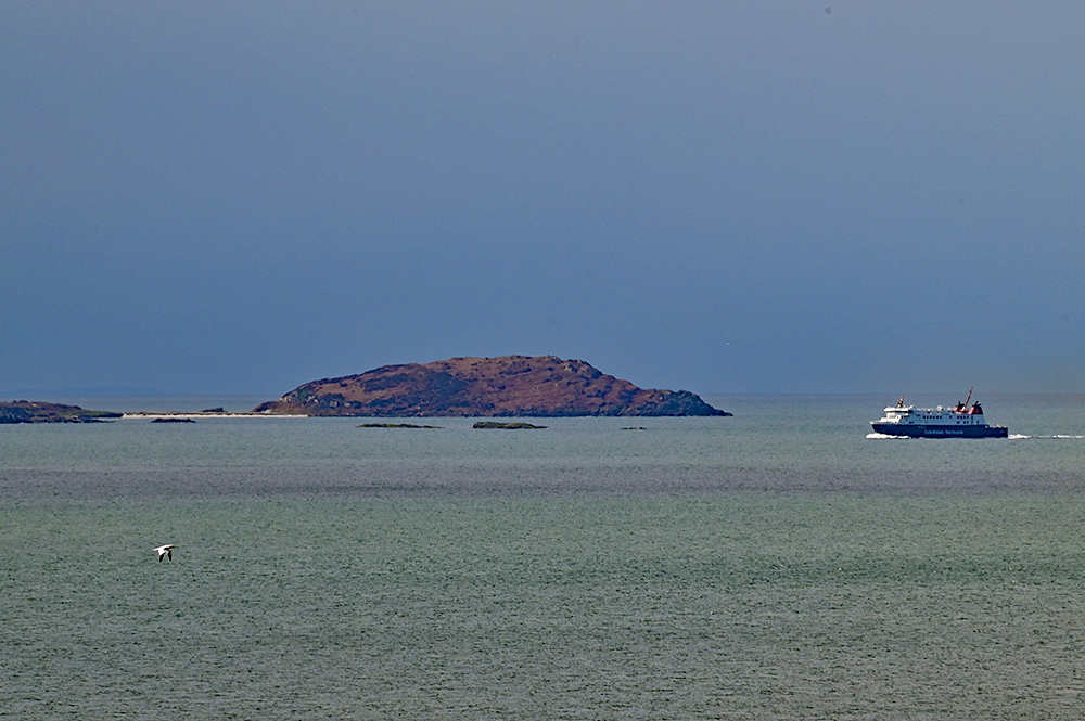 Picture of a ferry passing some small islands, also a Gannet flying past