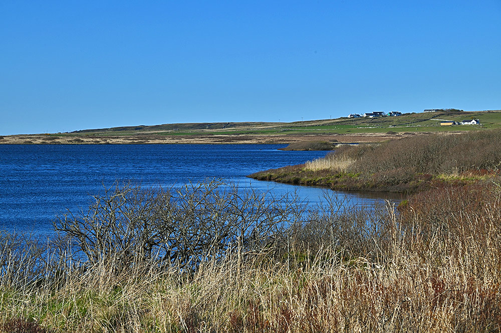 Picture of the shore of a freshwater loch on a bright sunny April afternoon, a small settlement on a hill in the background