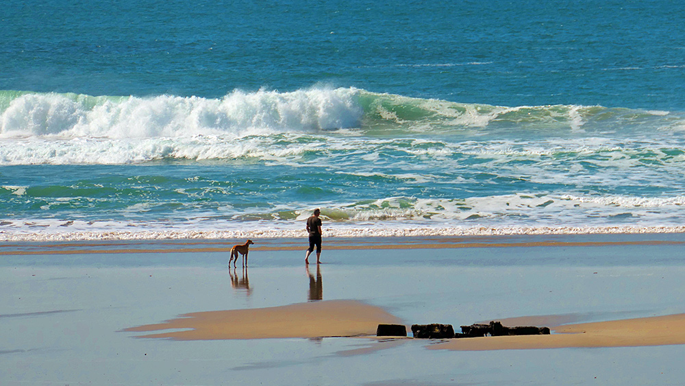 Picture of a man walking his dog near a wreck on a beach on a sunny April day
