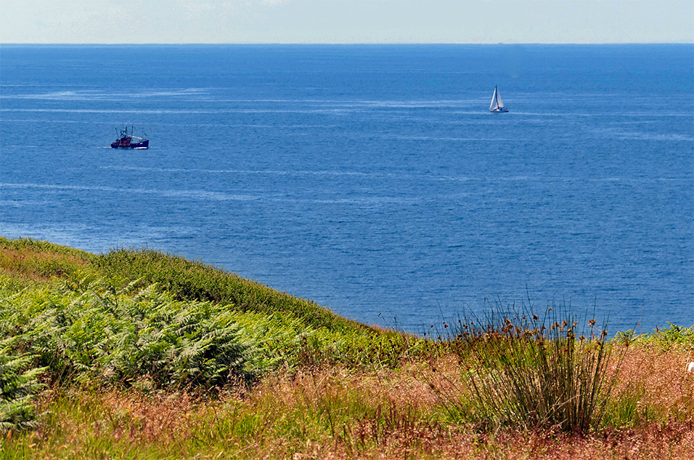 Picture of a fishing boat and a sailing yacht just off the steep shore of an island