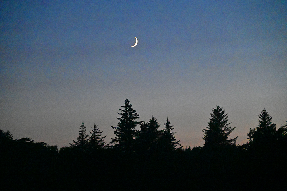 Picture of a crescent moon over some woodland with some last light of the gloaming