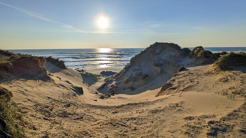 Picture of some dunes above a beach under some nice evening sunshine