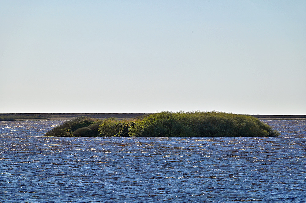 Picture of a small island in a freshwater loch on a bright sunny day