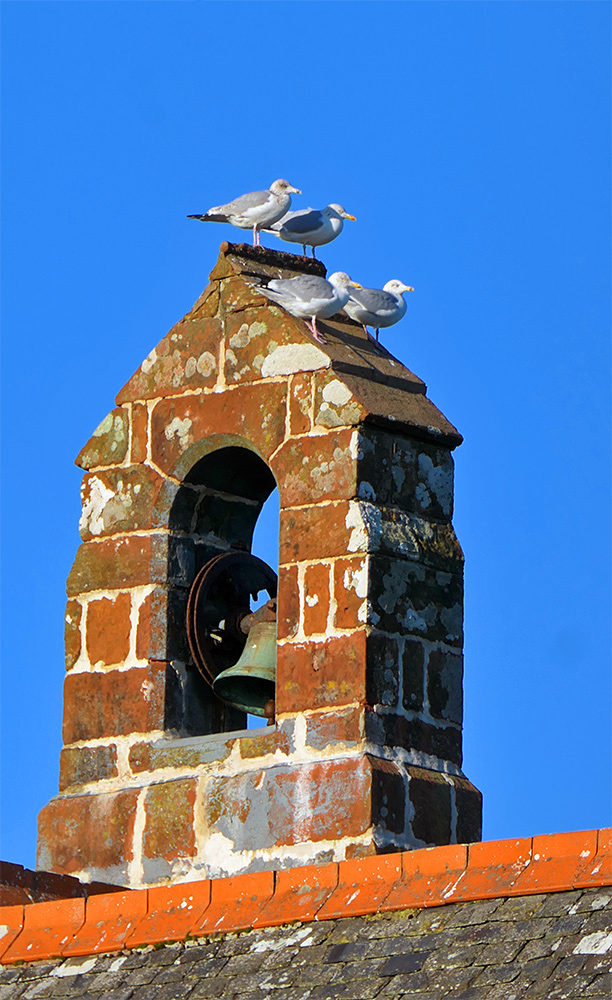 Picture of four gulls sitting on a small bell tower of a church
