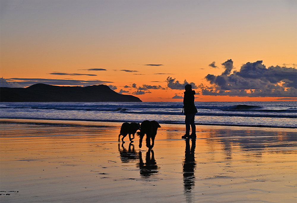 Picture of two dogs on a beach with their owner during a sunset