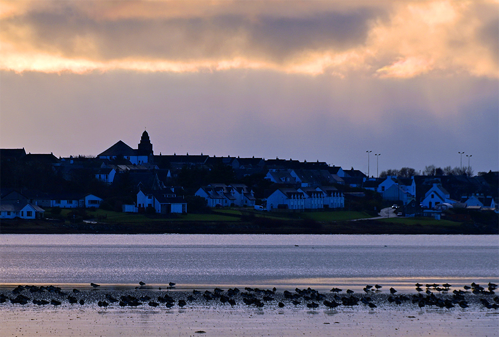 Picture of a coastal village with some geese on mud flats in front. Lights of a car visible on a road in the village