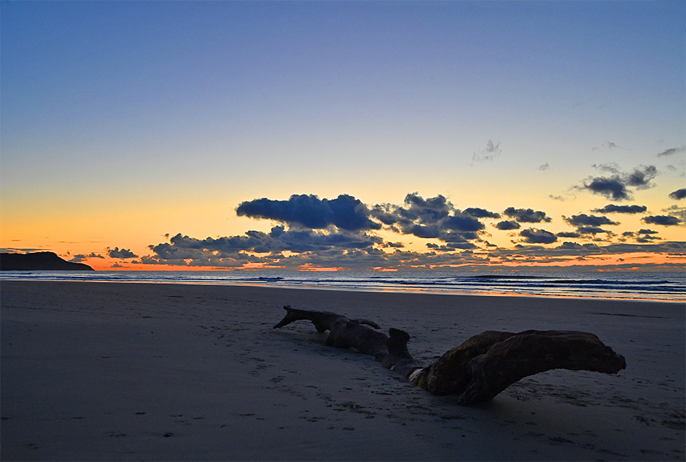 Picture of some large driftwood on a beach in the gloaming after sunset
