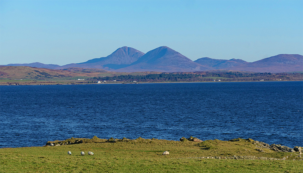 Picture of two mountains seen across a sea loch with some sheep grazing on the shore