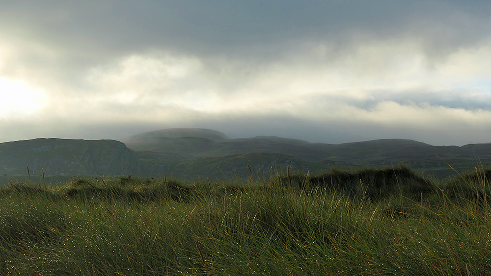 Picture of dark hills in mist under low clouds, wet dune grass in the foreground