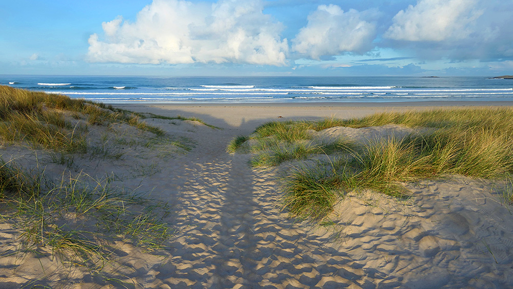 Picture from a path through dunes to a beach, low sun throwing long shadows